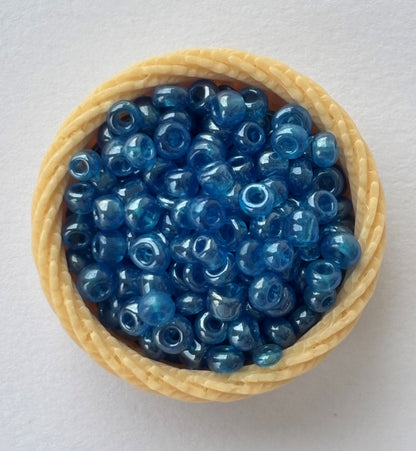 Iridescent Blue Indian Seed Beads