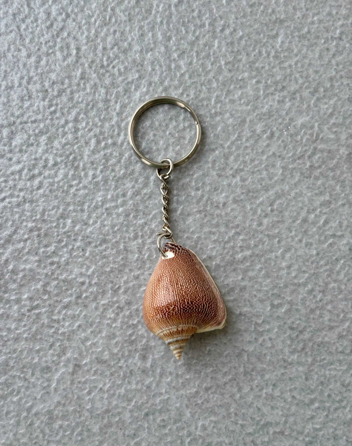 Natural Conch Seashell Keychain
