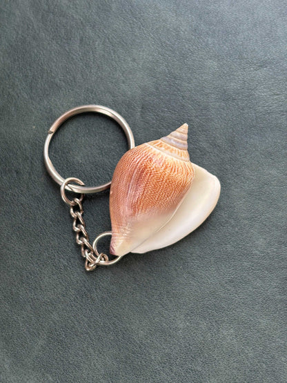 Natural Conch Seashell Keychain